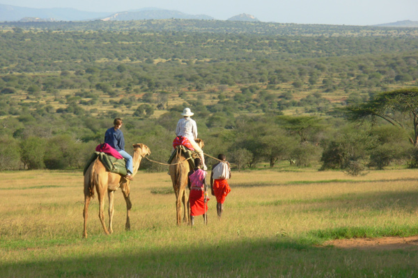 Camel Safaris with Karisia Walking safaris Kenya