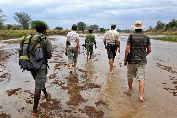 Walking safaris at Takwela Camp, North Luangwa