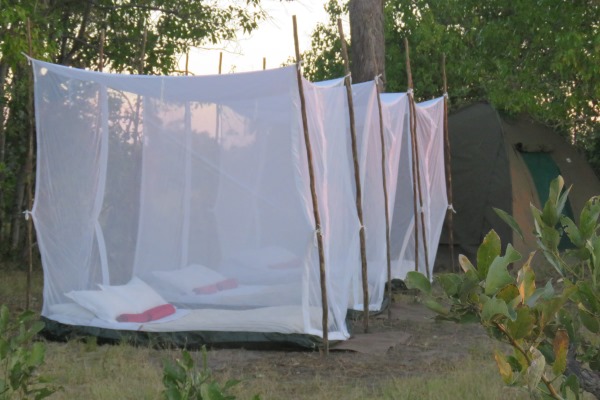 Fly camping - art installation or school dormitory? row of fly camps