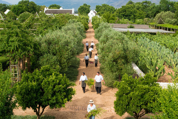 Organic garden, vinyard and restaurants at Babylonstoren Spa
