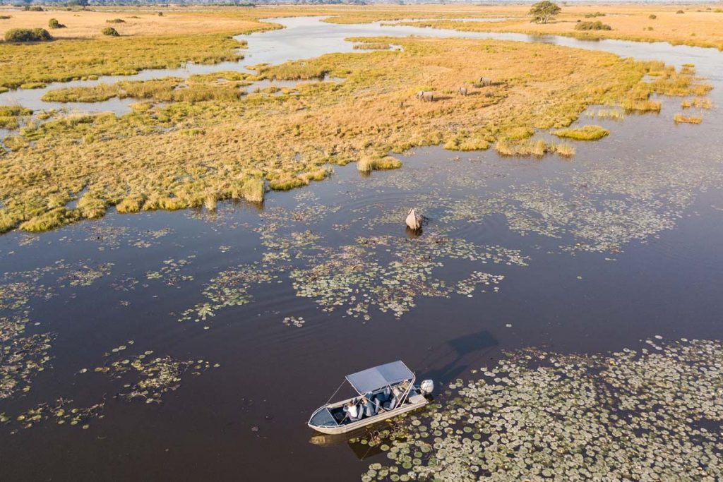 Aerial boating in the Okavango Delta, Botswana