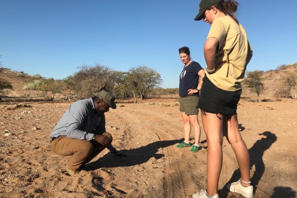 Looking for the elusive rhino Namibia family safari