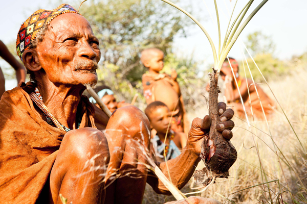 Foraging with San Bushmen at Camp Kalahari Specialist African meals