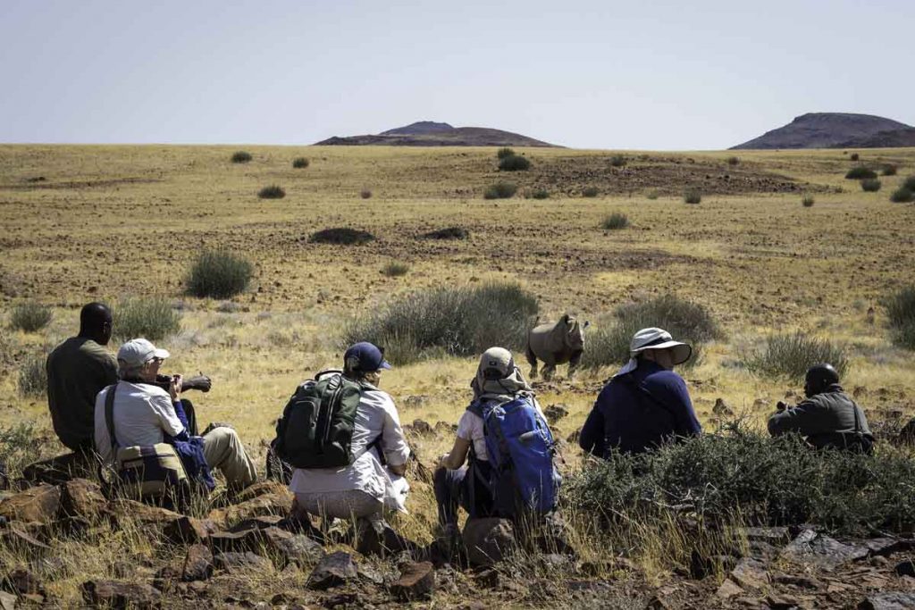Tracking rhino at Desert Rhino Camp