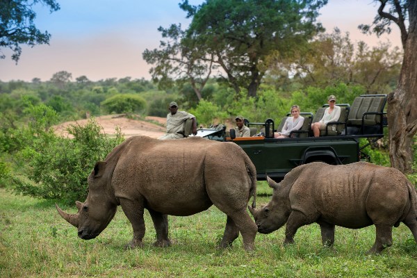 A great rhino sighting from while on a game drive from Tanda Tula